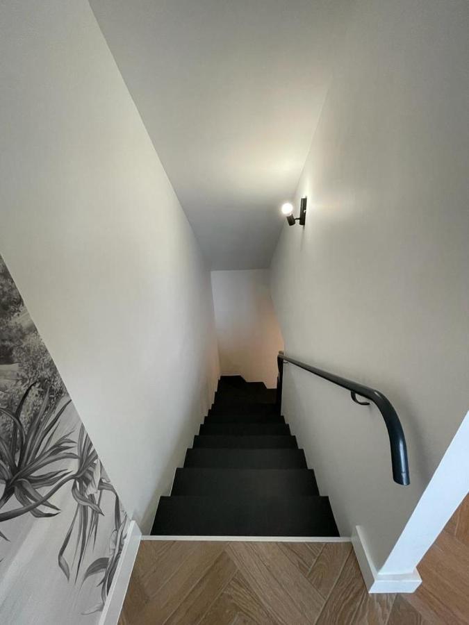 Appartement Cosy Avec Vue Imprenable Sur La Cite Carcassonne Eksteriør billede